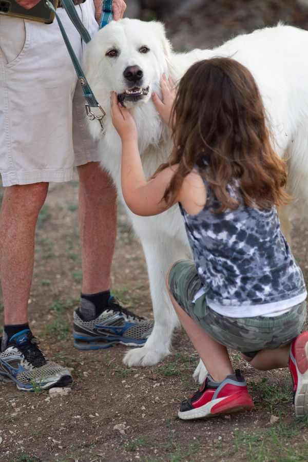 The Lead June 2, 2022 Planning takes center stage in Kerrville, or is